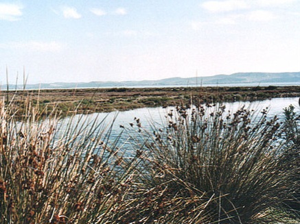 Biodiversiteti i Parkut