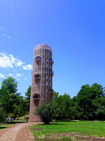 Aktivitetet në Park